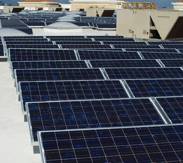 Screenshot 2024-09-12 105531