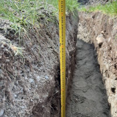 338c4321320442fd6015eab0d9eccb89